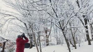 雪の中