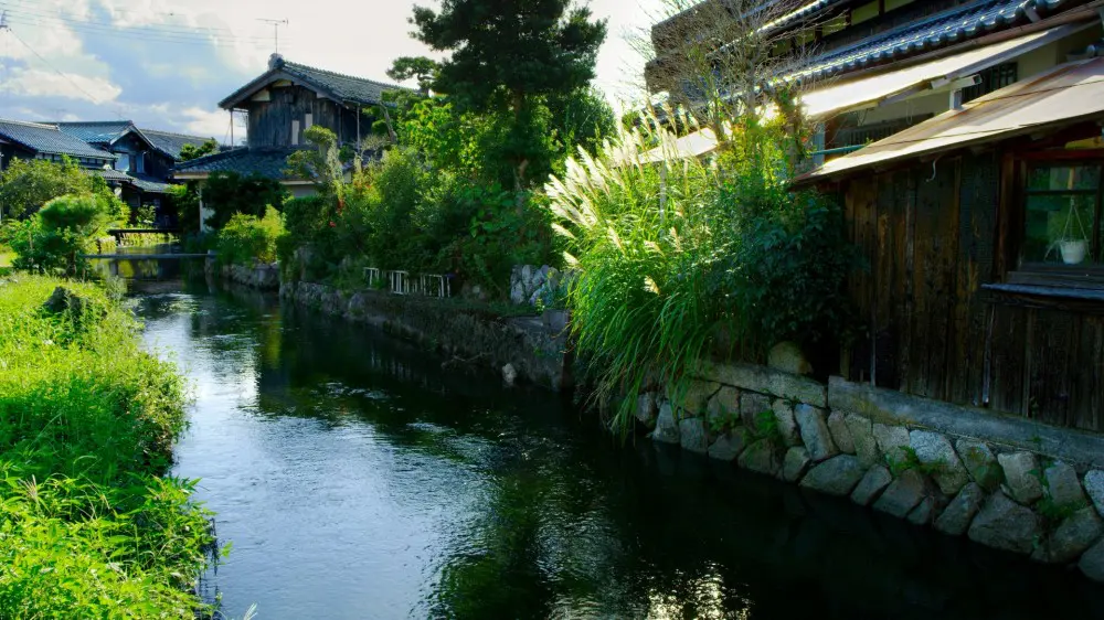 8K動く写真集 今森光彦「里山少年が見つめた世界」TV特番