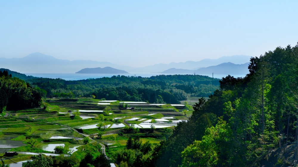 1棚田＆琵琶湖