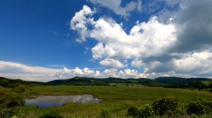 ①八島ヶ原湿原全景